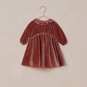 Noralee Velvet Dress in Rich Brown